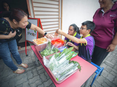 Taarana’s Green Fingers