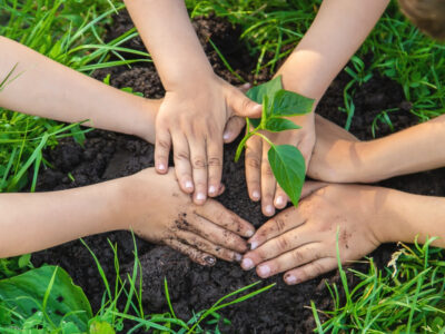 Why Gardening for Differently-abled Children is Therapeutic