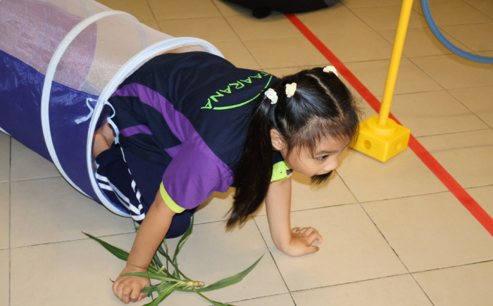 activities 1 2